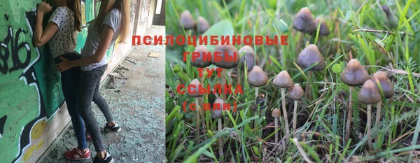 соль ск Алексеевка