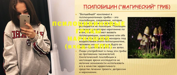 соль ск Алексеевка