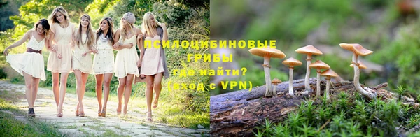 мяу мяу мука Алзамай