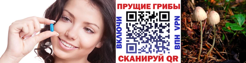 наркота  мориарти формула  Галлюциногенные грибы Magic Shrooms  Шумиха 